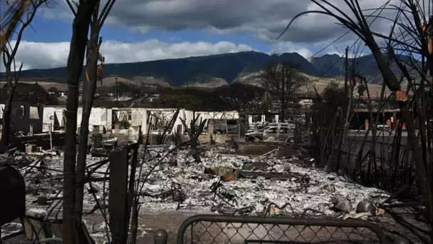 Incendies à Hawai : les évacués regagnent les ruines laissées par les flammes, la justice ouvre u…