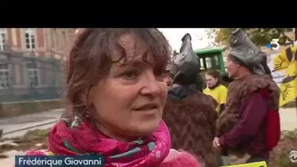 Haut-Rhin : les sangliers ravagent les champs, les agriculteurs en colère