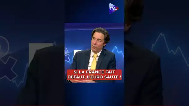 🎥 « Il ne reste plus beaucoup d'étapes avant que la France fasse défaut. Si la France fait déf...