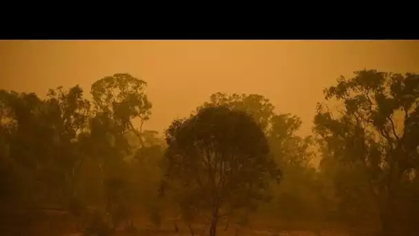 Après un nouveau week-end de cauchemar, l'Australie brûlée à vif