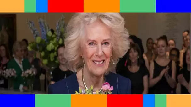 👑  “Elle est si élégante” : Camilla Parker Bowles adulée par les fans de la famille royale