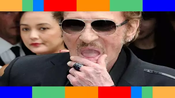 Johnny Hallyday  Cette histoire d'amour qu'il a vécue avec la mère d'une vedette du petit écran !