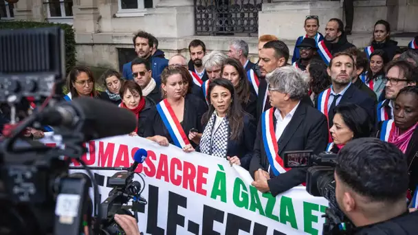 Rassemblement en soutien à la Palestine : la France Insoumise compte se faire entendre dans le co…