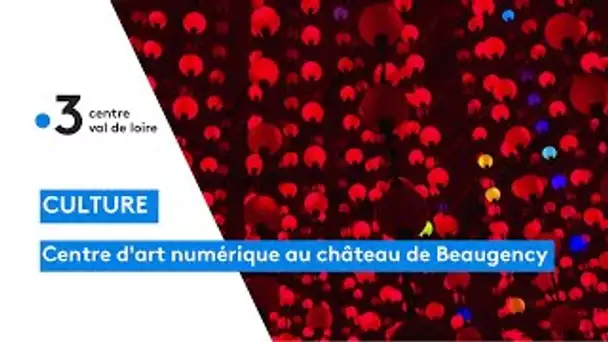 Beaugency : centre d'art numérique au château