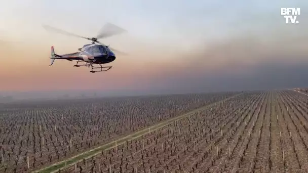 En Bourgogne, les images d'un hélicoptère survolant les vignes pour éviter qu'elles ne gèlent