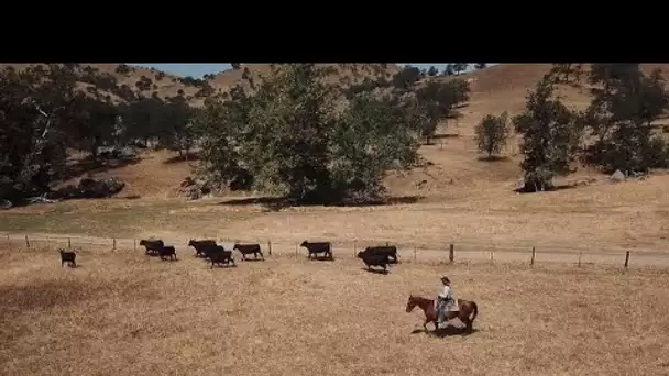 États-Unis : la Californie manque d'eau pour ses cultures