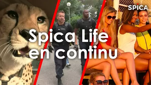 SPICA LIFE en CONTINU