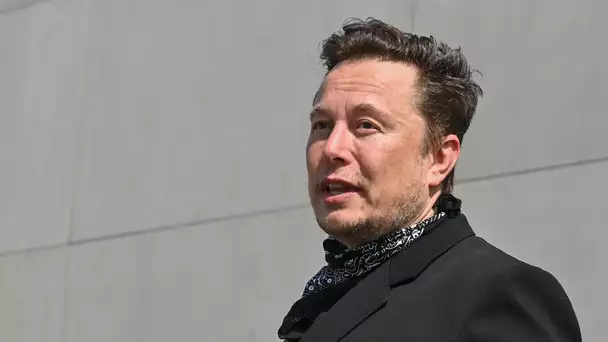 Elon Musk : sa coupe de cheveux surréaliste scandalise les internautes