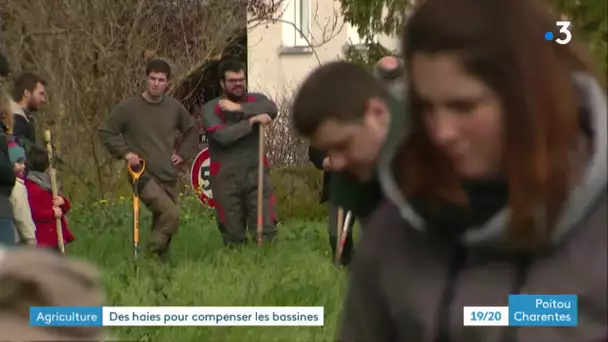 Mauzé-sur-le-Mignon : des haies pour compenser les bassines