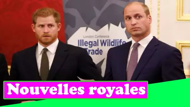 William et Harry étaient «à la gorge» aux funérailles du prince Philip, selon l'auteur