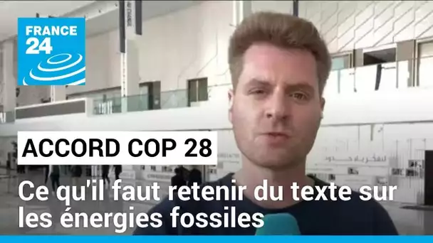 Accord à la COP 28 : ce qu'il faut retenir de cette entente "historique" • FRANCE 24