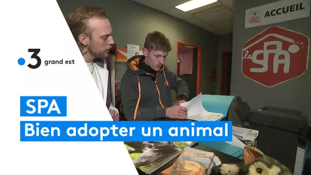 Bien adopter son animal de compagnie