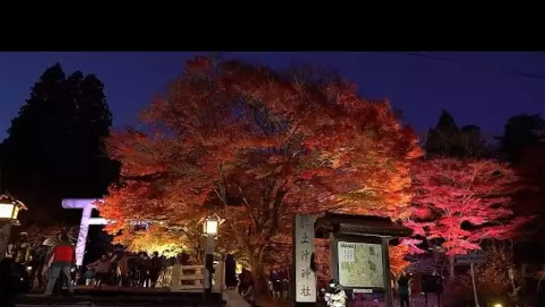 La féerie automnale des montagnes d'Urabandai au Japon