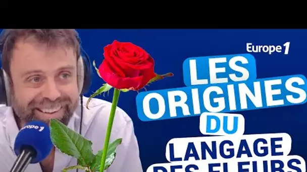 Les origines du langage des fleurs avec David Castello-Lopes