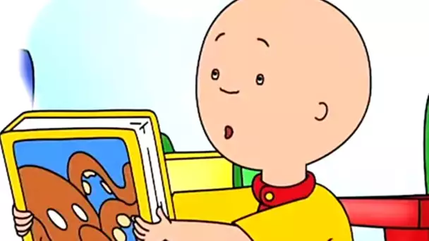 Caillou et le Livre de L'école | Caillou en Français