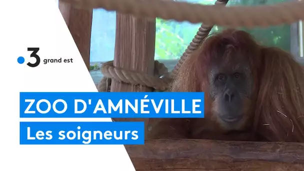 Le zoo d'Amnéville : le travail des soigneurs