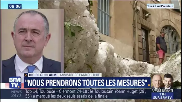 Orages: "L'État déclarera l'état de catastrophe naturelle" annonce le ministre de l'Agriculture