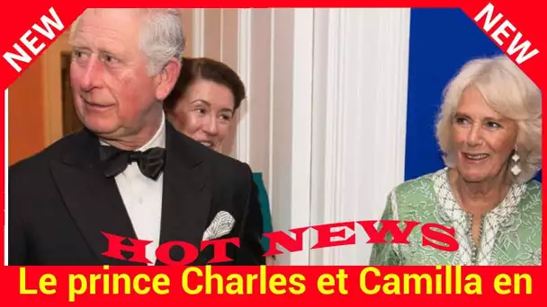 Le prince Charles et Camilla en panne d&#039;inspiration ? Leur look copier-coller à un mois