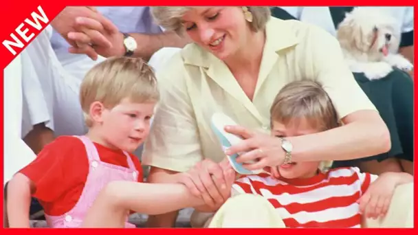 ✅  Diana : retour sur ses photos intimes avec Harry et William