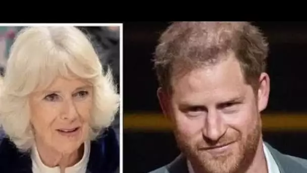 Mémoires du prince Harry: les Américains ne se «réchaufferont» pas à Camilla si Duke lance une attaq