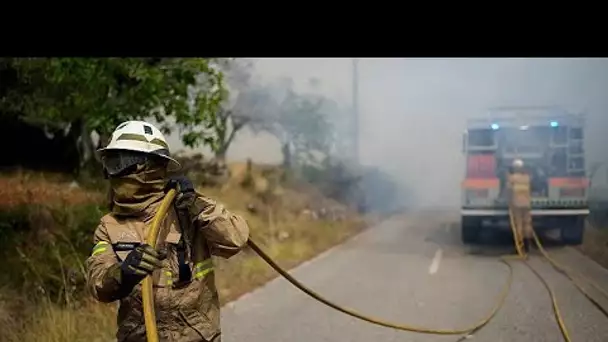 Portugal : l'incendie de Serra da Estrela a repris, les habitants évacuent