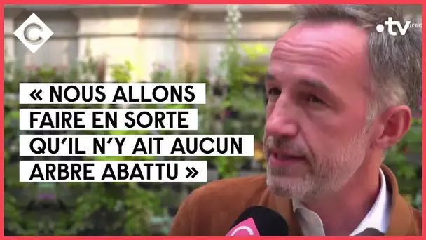 La mairie de Paris va-t-elle faire abattre des arbres centenaires ? - C à vous - 02/05/2022