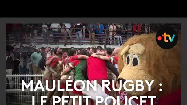 Rugby : Mauléon, le "petit poucet" basque en demi