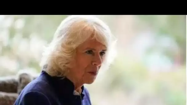 Camilla avait de l'empathie pour Diana alors qu'elle luttait pour s'adapter à la vie royale