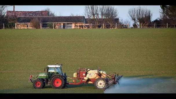 Une nouvelle décision restreint un peu plus les zones de non-traitement de pesticides