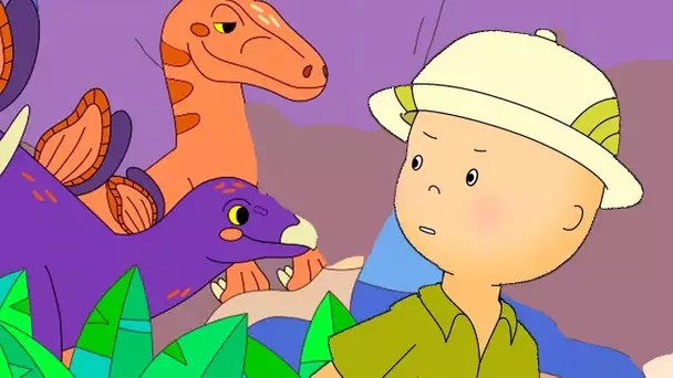 Caillou et la Fête des Dinosaures | Caillou en Français