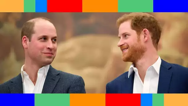 William et Harry  ce prochain événement qui va à nouveau réunir les frères ennemis