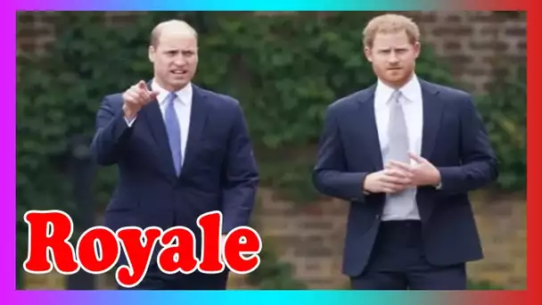 Les princes et la presse: les Royals boycottent la BBC à cause d'un nouveau document@ire