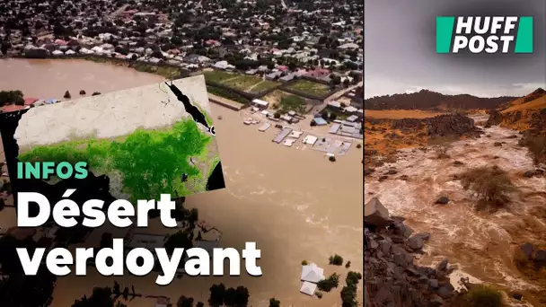 Le Sahara est inondé depuis des semaines, et les répercussions sont visibles du ciel