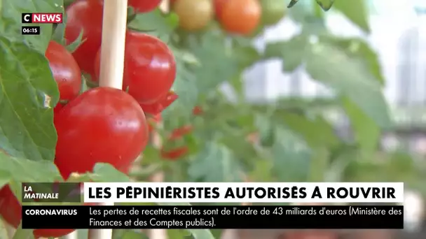 Les pépiniéristes autorisés à rouvrir