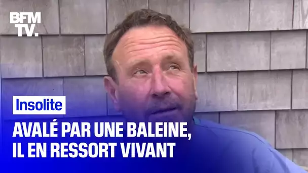 Avalé par une baleine, ce pêcheur-plongeur en est ressorti vivant