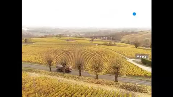 Vu du ciel : Sancerre et son vignoble