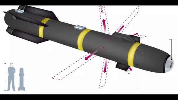 Les origines de missiles ninja