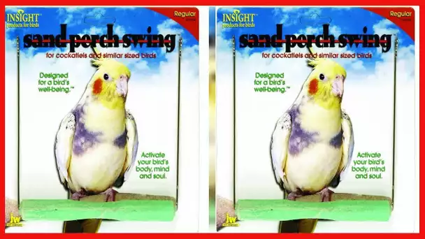 JW Pet Company Insight Sand Perch Swing Bird Toy, Regular