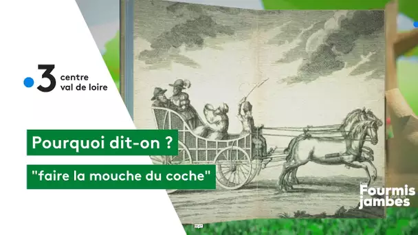 Pourquoi dit-on : faire la mouche du coche !