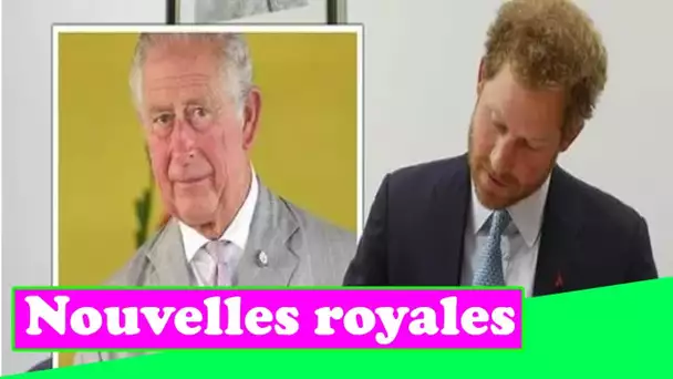 Les mémoires du prince Harry pourraient être «le dernier clou dans le cercueil» pour la famille roya