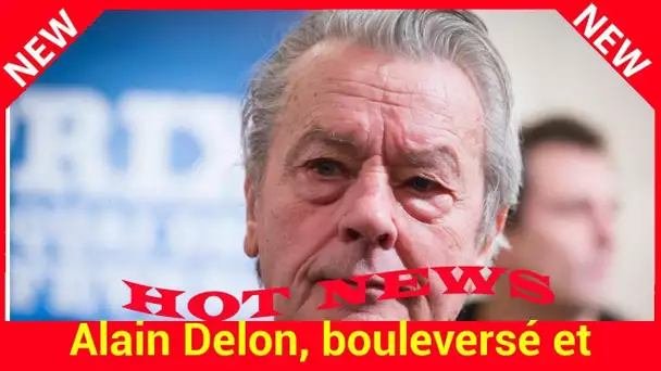 VIDEO – Alain Delon, bouleversé et énigmatique quand il évoque la mort de Dalida