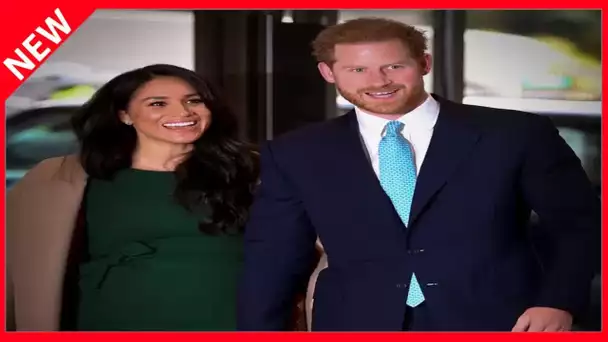 ✅  « Royaux profondément modernes » : cette biographie que Meghan Markle et Harry préparent en secre