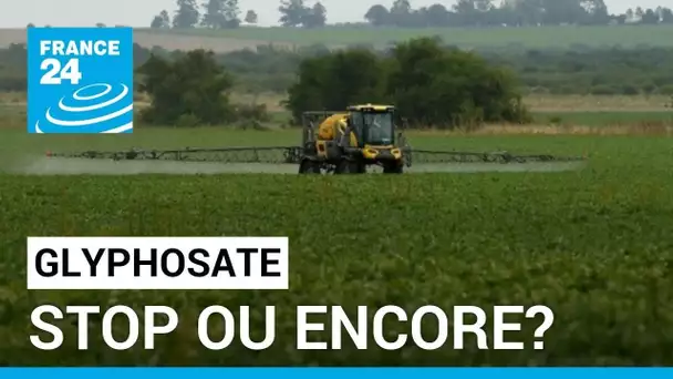 GLYPHOSATE : STOP OU ENCORE? • FRANCE 24