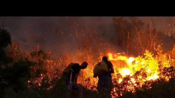 Les pompiers luttent contre un incendie en Bosnie-Herzégovine