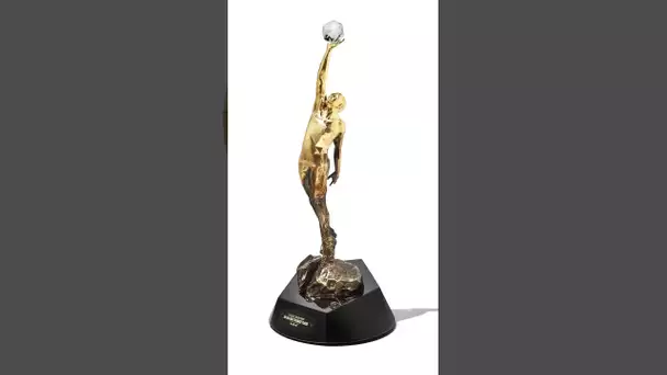 Introducing the Michael Jordan Trophy!✨🏆