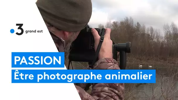 Rencontre avec Olivier Gutfreund, photographe animalier passionné de la faune sauvage