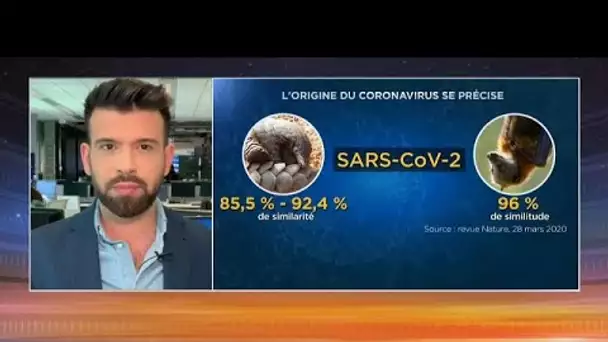 Covid-19 et théories du complot : 26% des Français pensent que le virus a été créé en labor…