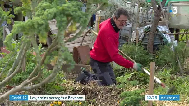 A Bayonne, les jardins familiaux cartonnent