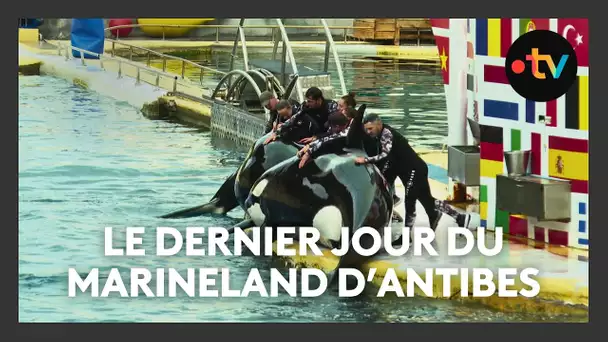 Le Marineland d'Antibes a fermé ses portes après plus de 50 ans d'existence, la fin d'une époque