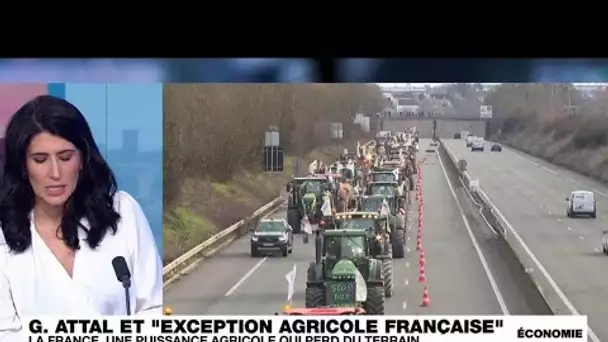 Gabriel Attal défend "l'exception agricole française" et fait des concessions • FRANCE 24